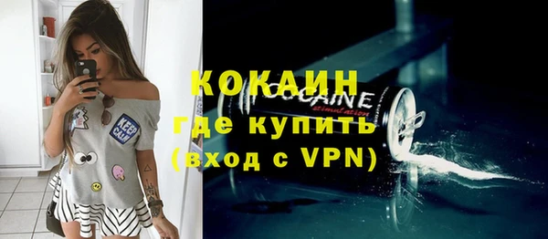 индика Беломорск
