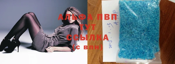 индика Беломорск