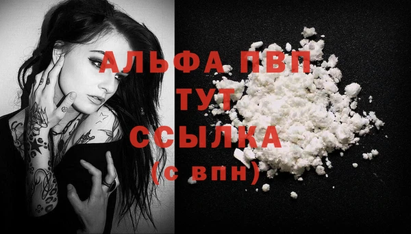 индика Беломорск