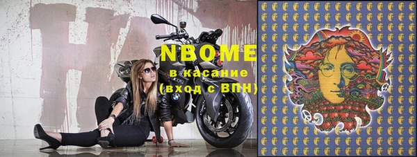 индика Беломорск