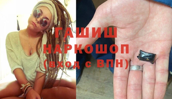 индика Беломорск