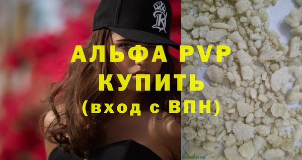 индика Беломорск