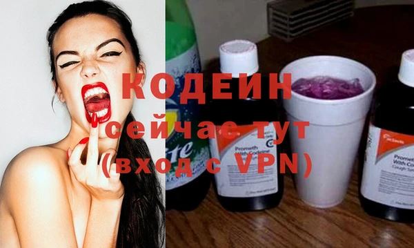 индика Беломорск