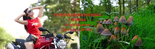 альфа пвп Белоозёрский