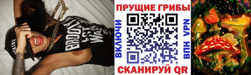 Псилоцибиновые грибы GOLDEN TEACHER  Луховицы 